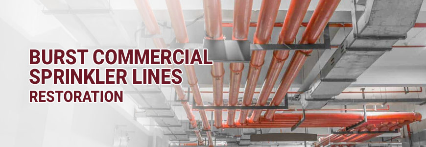 Burst Commercial Sprinkler Lines Restoration