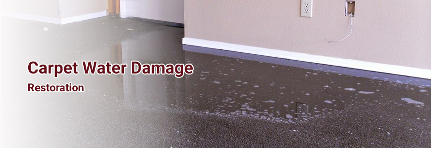 Carpet Water Damage