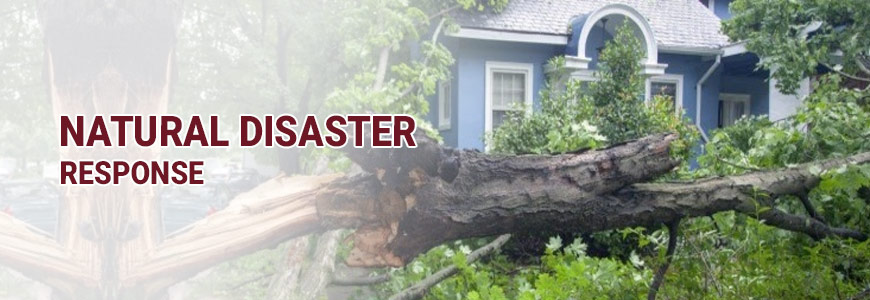 Natural Disaster Response banner