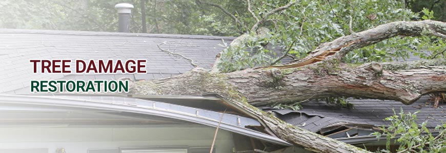 Tree Damage Restoration banner