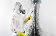 Mold Removal